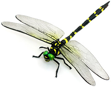 Yujin：原色日本昆虫図鑑Ⅰ