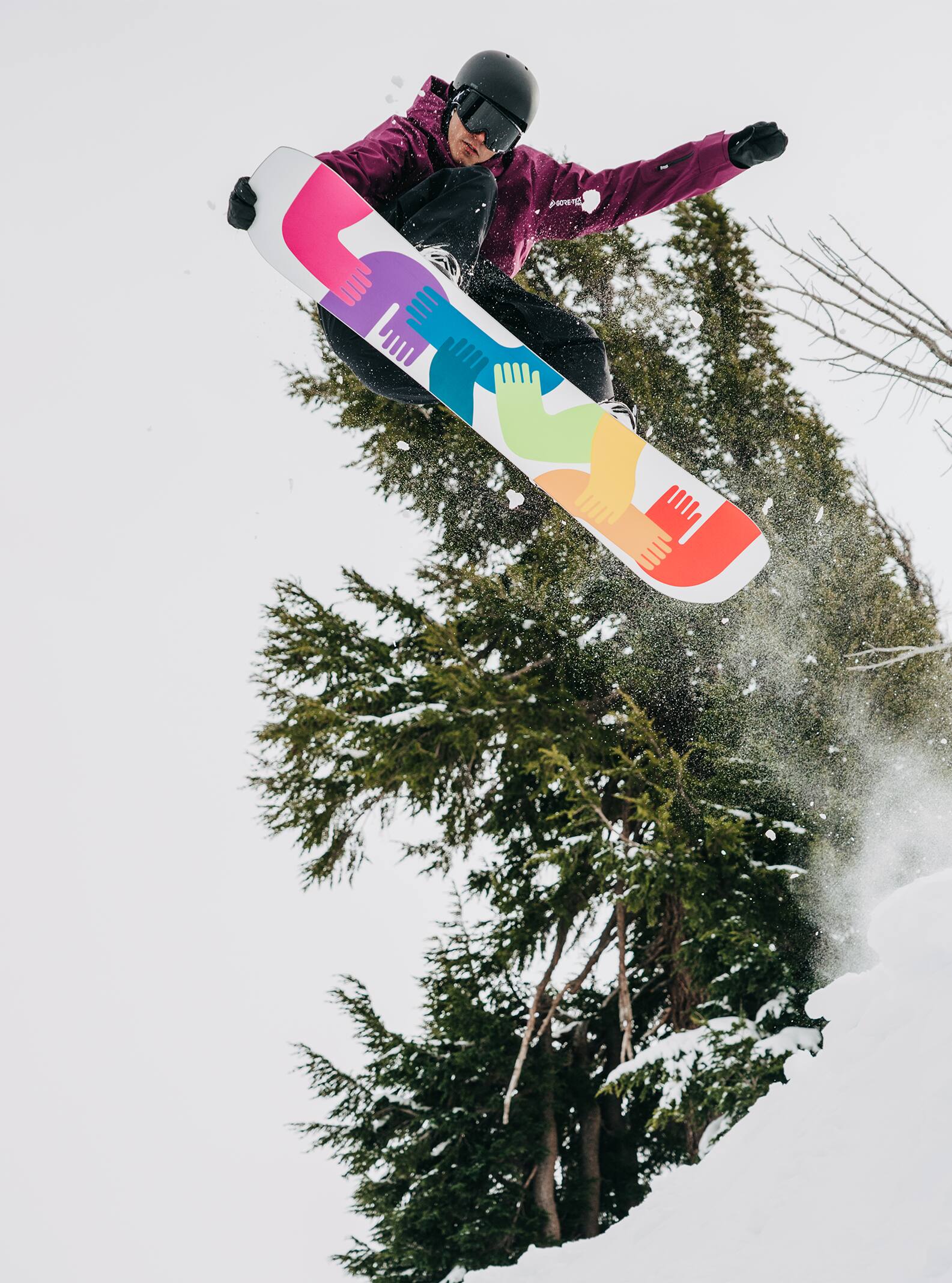 Burton アーティスト シリーズ ホームタウンヒーロー キャンバー