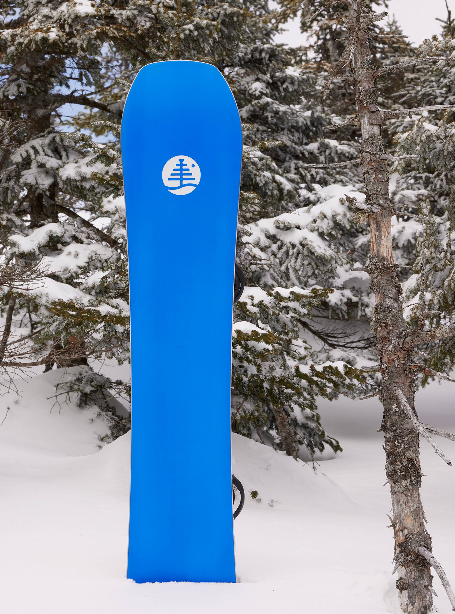 Burton Mystery Hometown Hero Camber Snowboard | Burton.com Winter