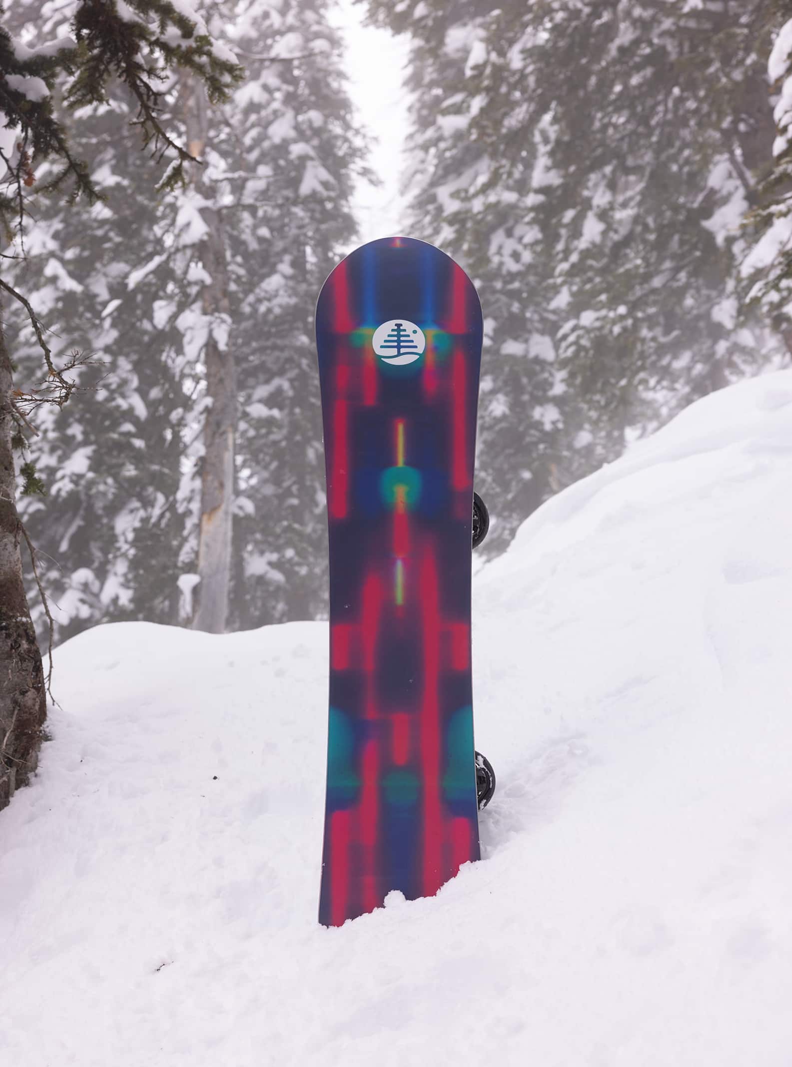 Burton Family Tree Alekesam Camber Snowboard | Burton.com Winter