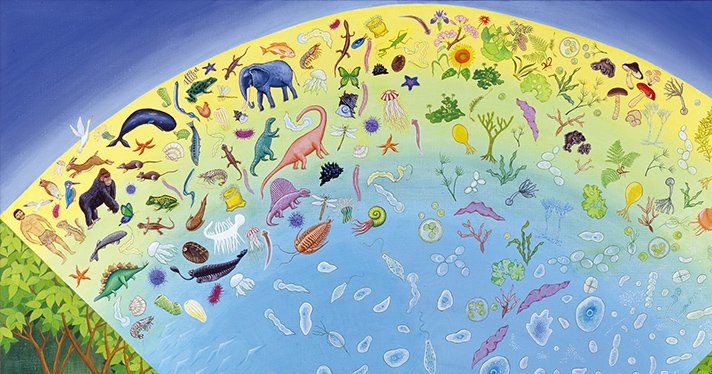 生命誌絵巻 | JT生命誌研究館