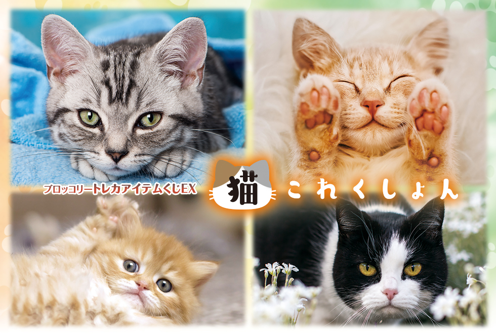 ブロッコリートレカアイテムくじEX「猫これくしょん」｜ブロッコリー
