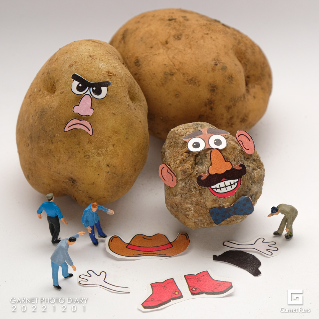 これ着けたら、もうポテトヘッド感！？ - ガーネット専門店ガーネット