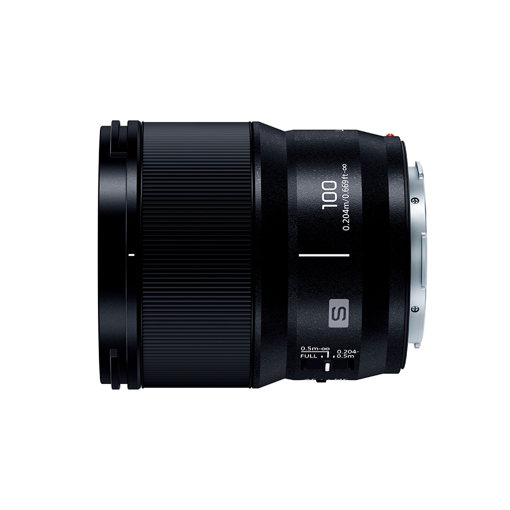 Panasonic(パナソニック) LUMIX S 100mm F2.8 MACRO S-E100: レンズ 銀