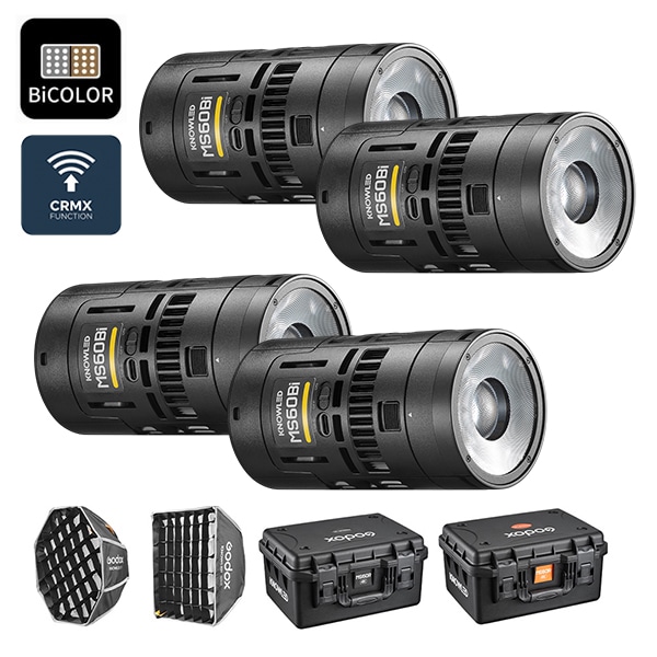 Canon(キヤノン) EOS R10・ボディー 5331C001(EOS R10 ボディ): カメラ