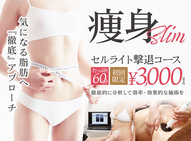 エステメニュー一覧｜エステサロン GINZA BLV(ギンザブルー)