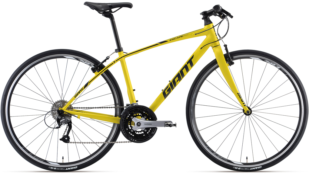 2019 GIANT Bicycles | ESCAPE RX 2