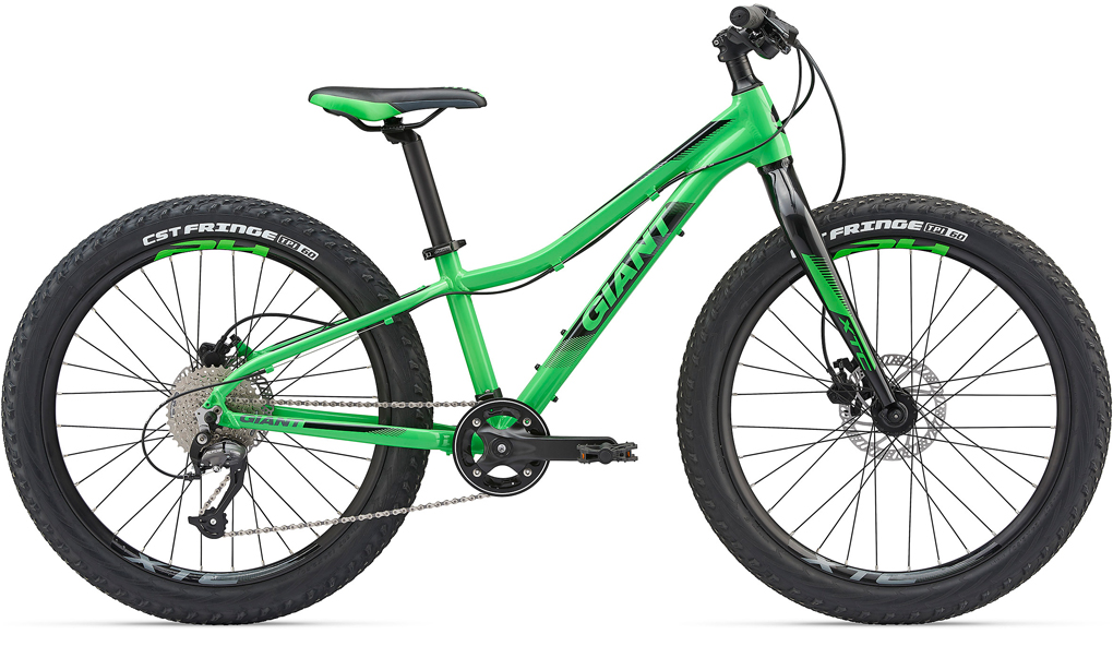 2019 GIANT Bicycles | XTC JR 24 +