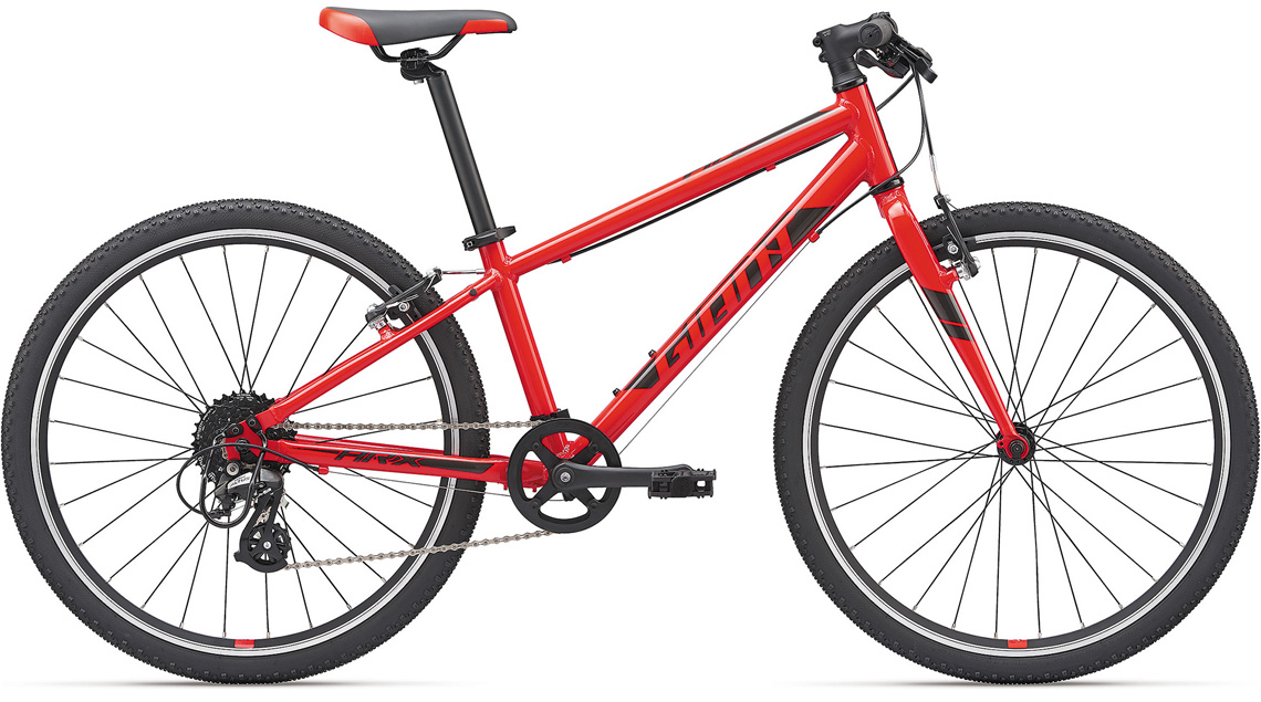 2020 GIANT Bicycles | ARX 24