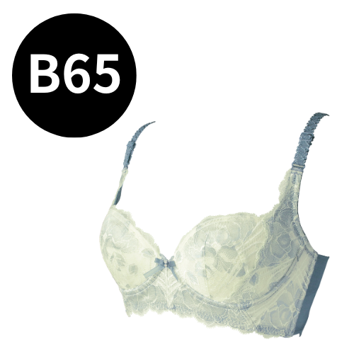 ラヴィエール ブラジャー ブルエ｜エステサロン・美容院向け卸・通販