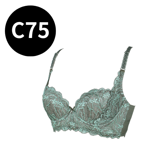 ラヴィエール ブラジャー ヴェールアングレ｜エステサロン・美容院向け