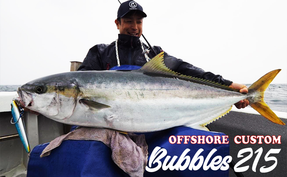 バブルス215＞「D-CLAW」キャスティング・ジギングに特化したソルト