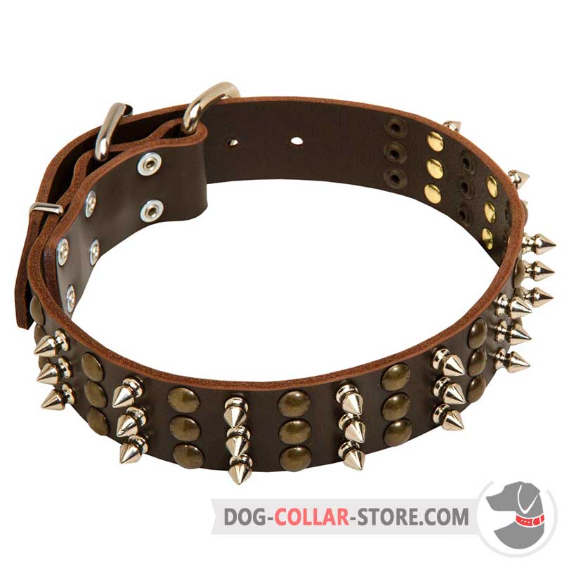 Order Leather Rottweiler Collar | Brass Studs | Nickel Spikes