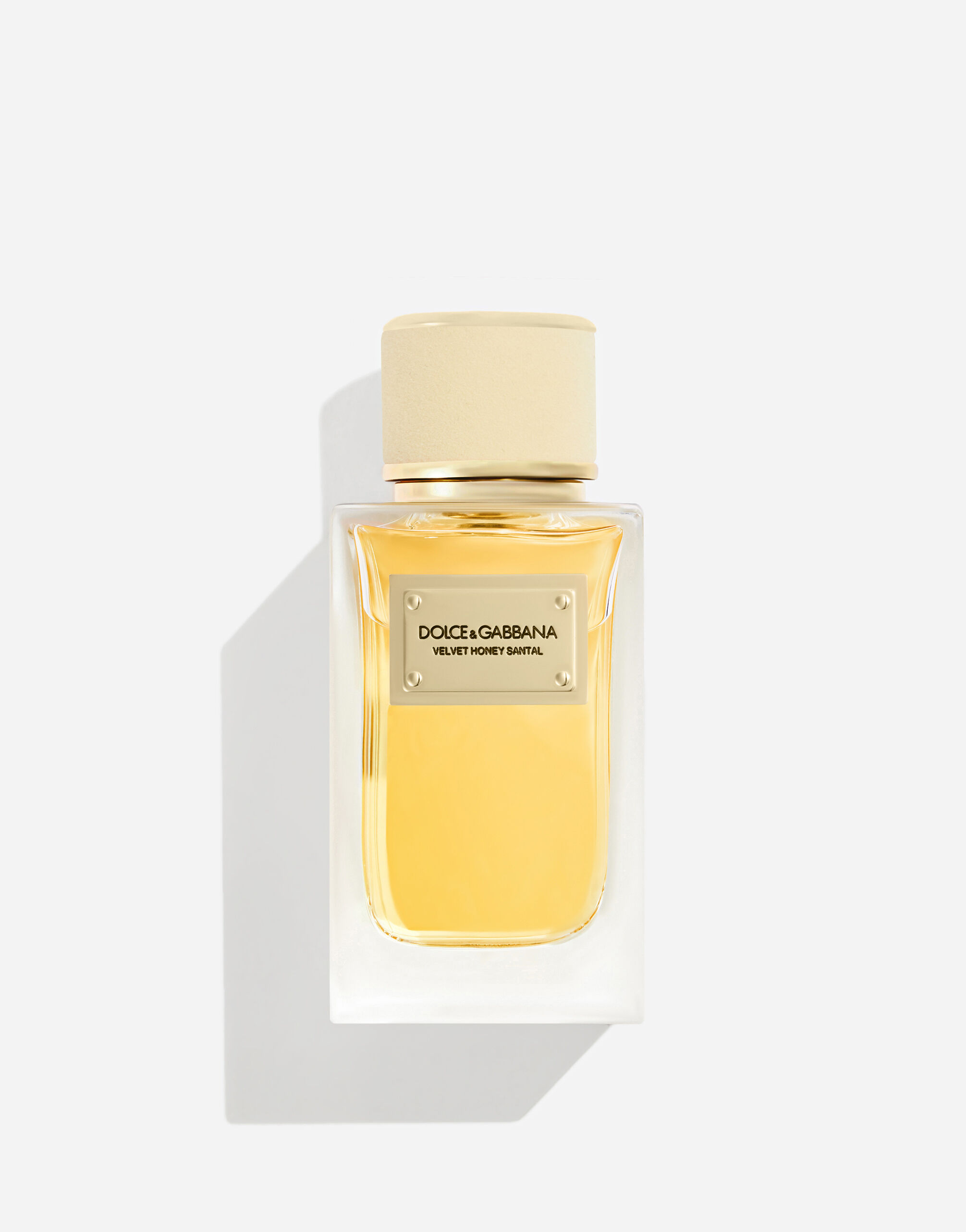 Velvet Collection | Dolce&Gabbana