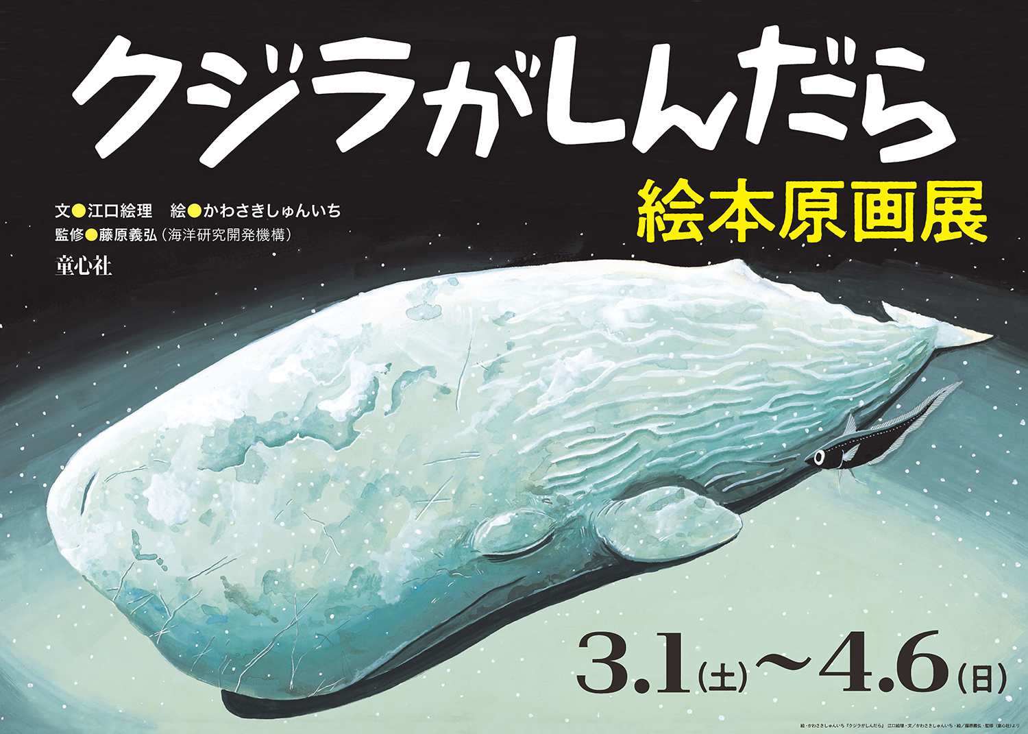 神奈川県藤沢市＞新江ノ島水族館にて、絵本『クジラがしんだら』原画展