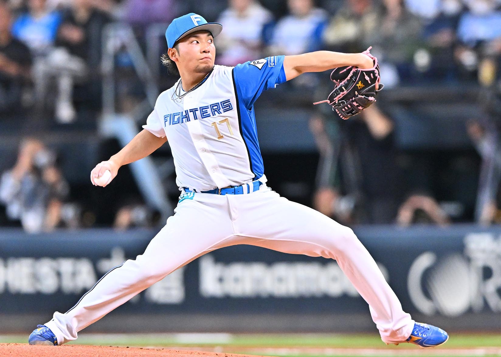 伊藤大海 WBCに臨む侍ジャパンに再選出 | 道新スポーツ | DOSHIN SPORTS