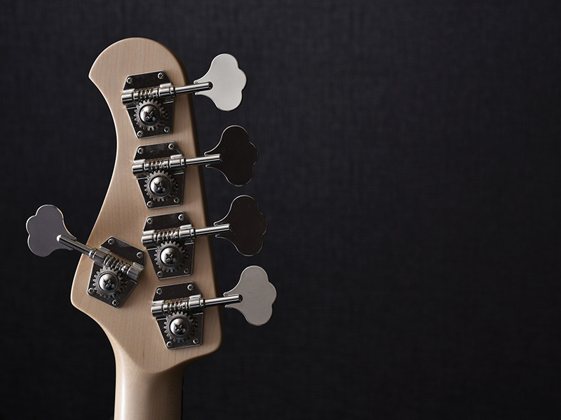 第一回5弦ベース特集 Bacchus WL-534S ASHのご紹介！ | Deviser ｜株式