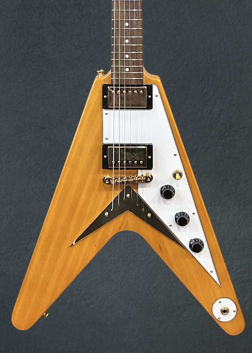 Epiphone Flying V ギグバック付き まりさん Epiphone Flying V
