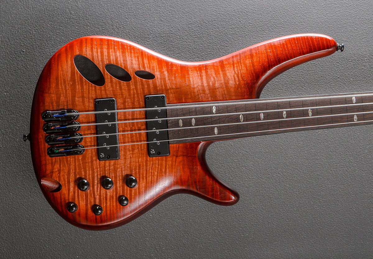 SRD900F Fretless Bass - Brown Topaz Burst Low Gloss – Dave's