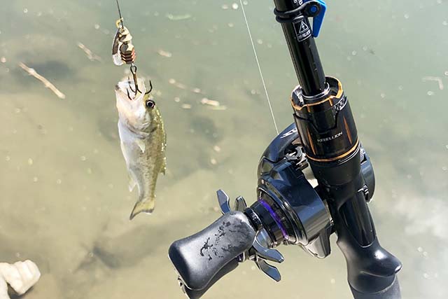 RCSB CT SV700S G1 スプール | インプレ & 重量 - 俺のバス釣りタックル