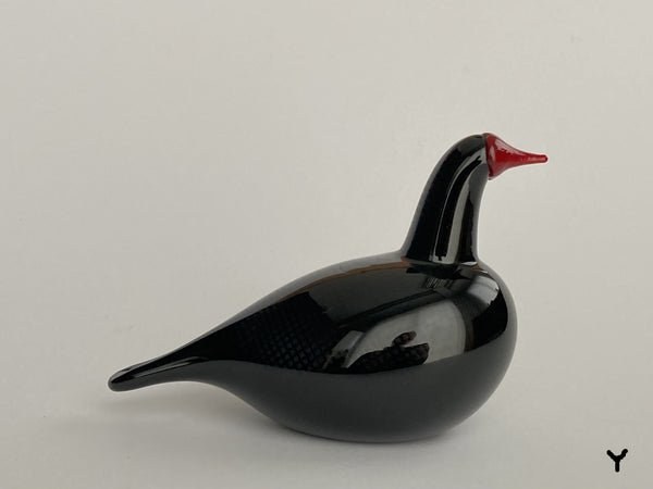 Bald Coot bird by Oiva Toikka Nuutajärvi Birds of Passage Nokikana