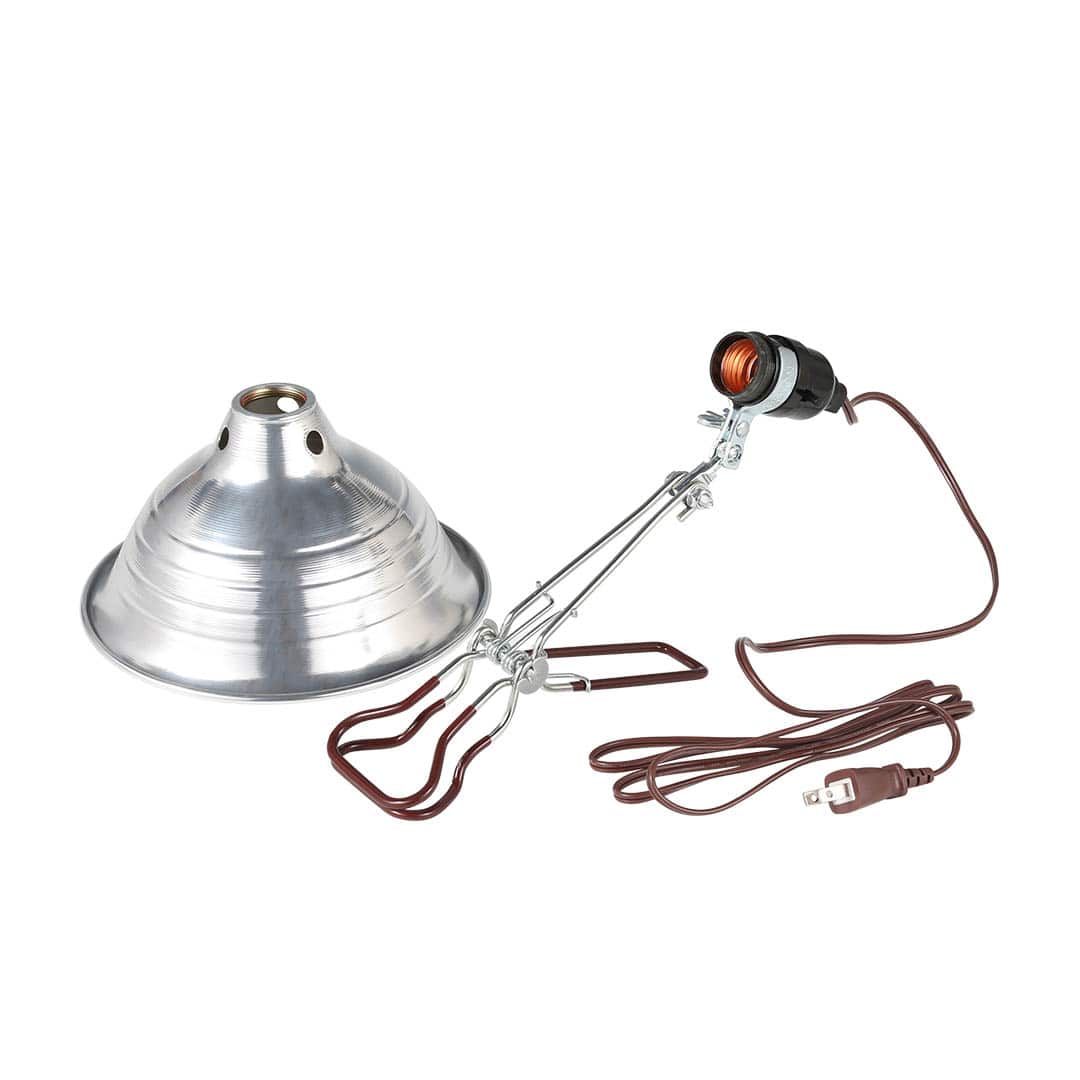 DULTON ONLINE SHOP | ALUMINUM CLIP LAMP M ALUMI(M ALUMI): 家具