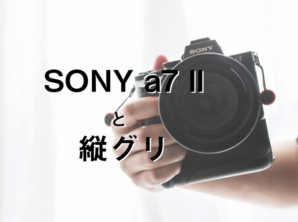 SONY α7ii】ソニー a7 II 用に縦位置グリップを使う！【縦グリの