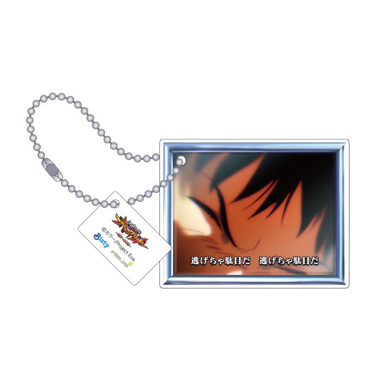 P 新世紀エヴァンゲリオン ~未来への咆哮~】アクリルキーホルダー4個