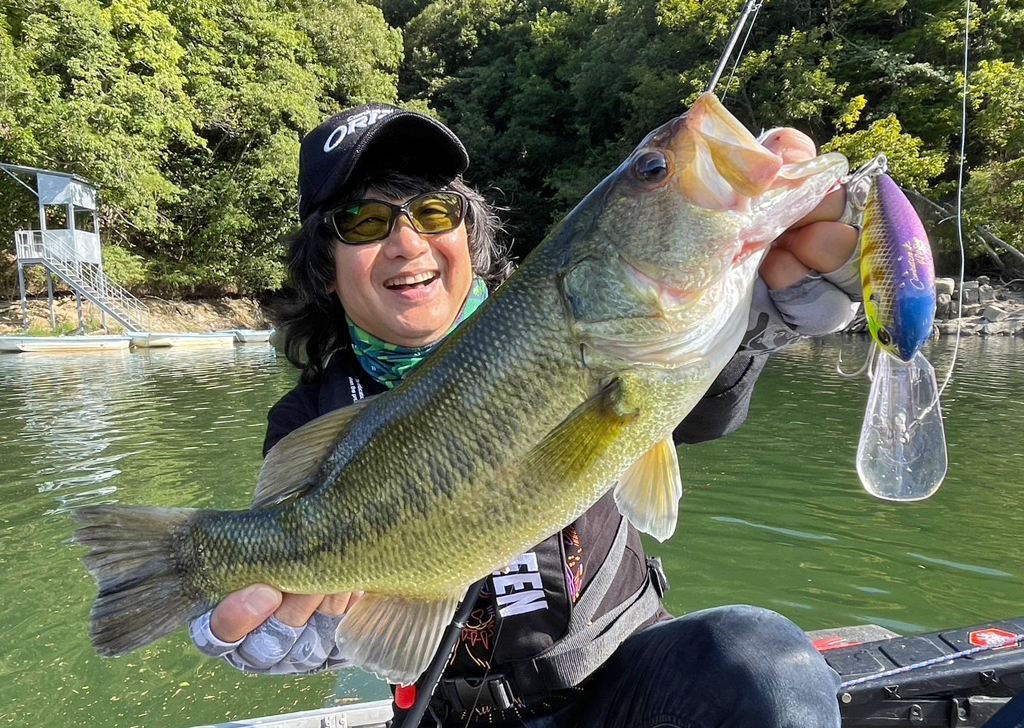 EVERGREEN（エバーグリーン インターナショナル） - OCSC-79MH シルヴァ