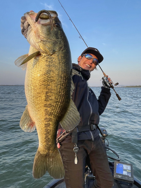 EVERGREEN（エバーグリーン インターナショナル） - OCSS-63UL-ST