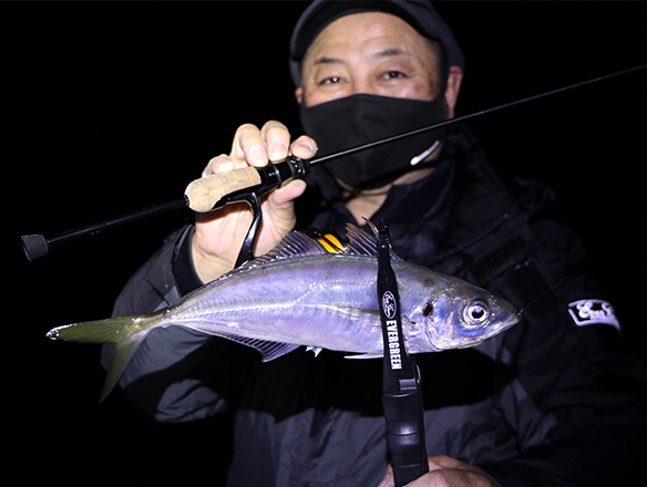 EVERGREEN（エバーグリーン インターナショナル） - SPRS-56XUL-S