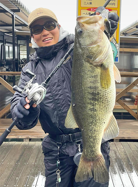 EVERGREEN（エバーグリーン インターナショナル） – 新発売オライオン