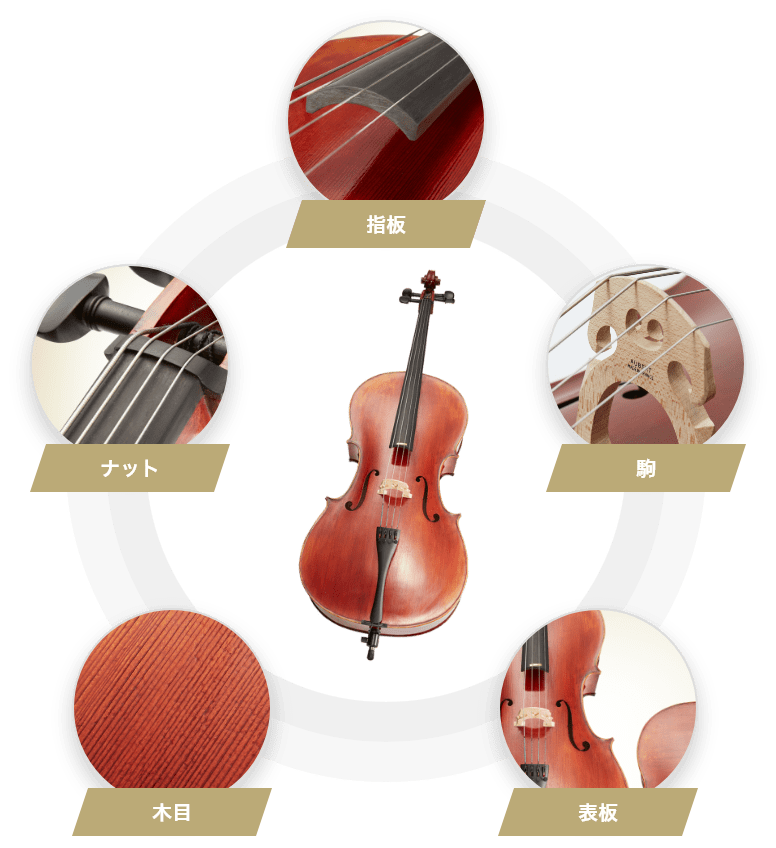 チェロ Buono - PROFONDO |大人の音楽教室 EYS音楽教室 無料体験