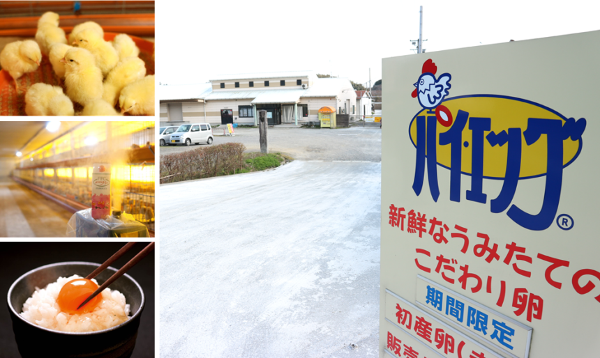 鳥鹿養鶏園 | FFC紹介広場｜地球とわたしにいいものを