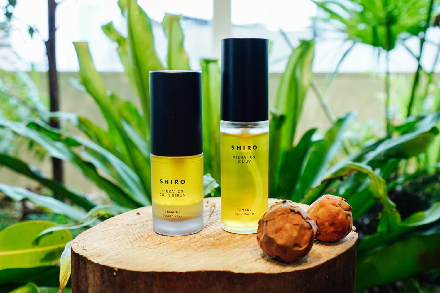 SHIRO初の日焼け止め美容液「タマヌオイル UV」植物だけでSPF12 PA+
