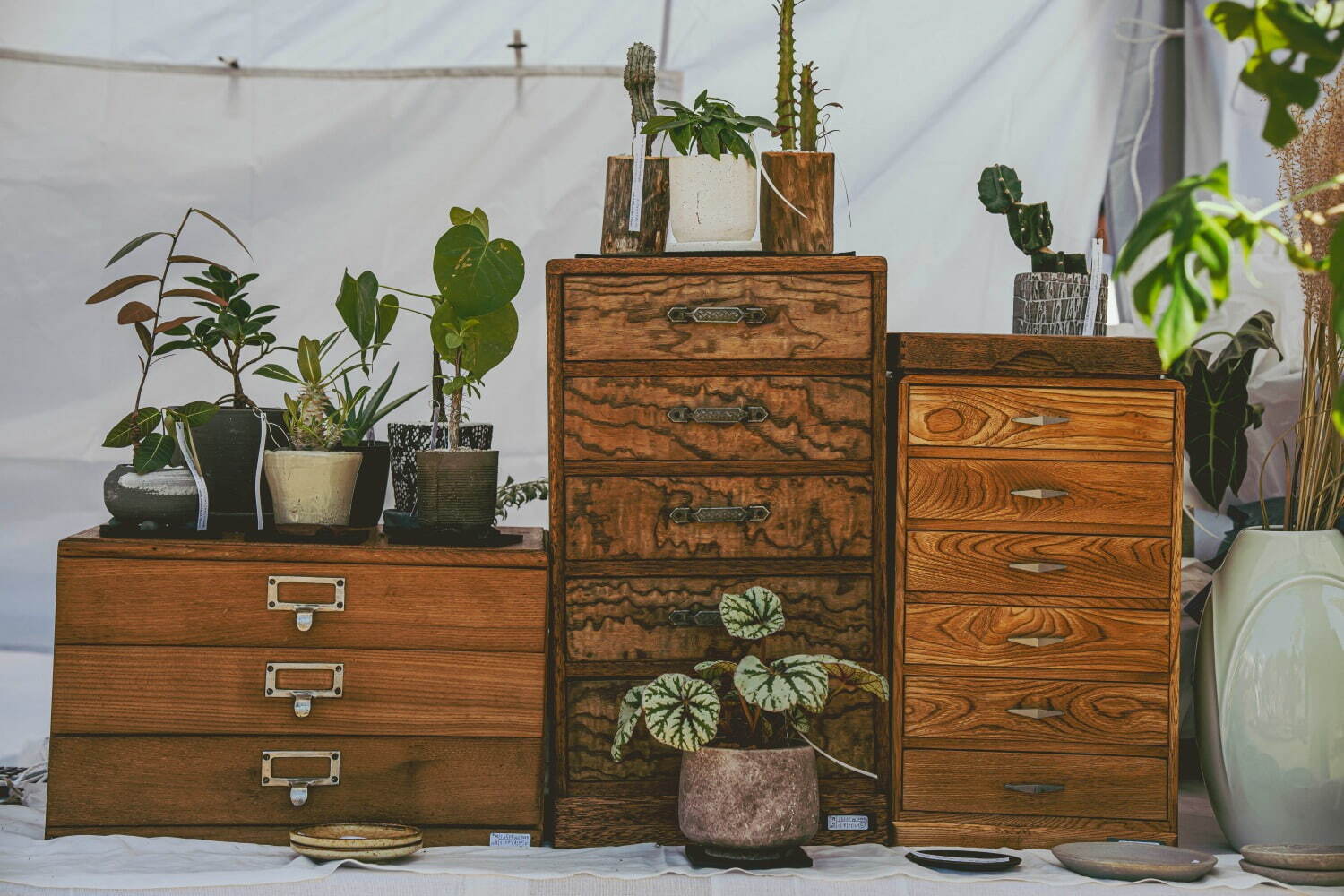 大阪・万博記念公園「ヴィンテージマーケット」アンティークや古着