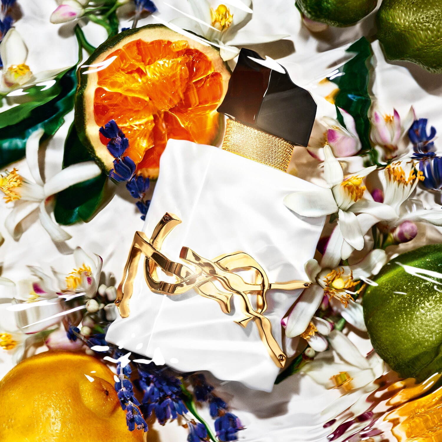 イヴ・サンローラン25年夏フレグランス「リブレ ロー ニュ」太陽を