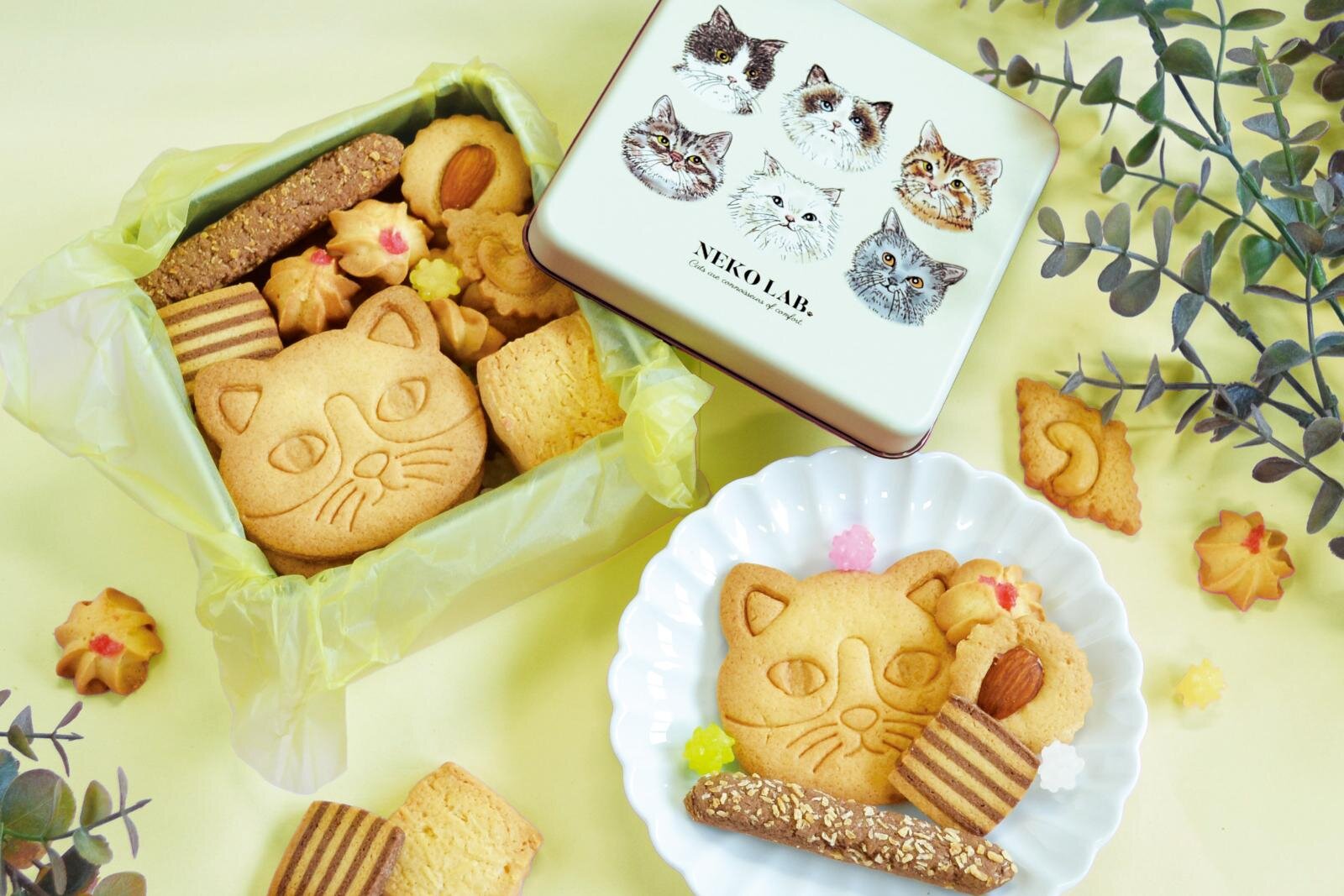 sacai×ポラロイド 70年代のカメラを“再構築”した限定モデル、二子玉川