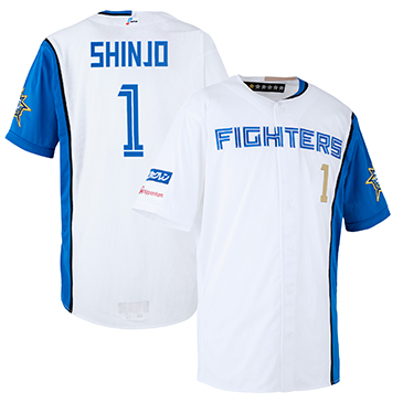 祝北海道誕生20年！ミズノ HOKKAIDO 20th ワッペン付き プロ