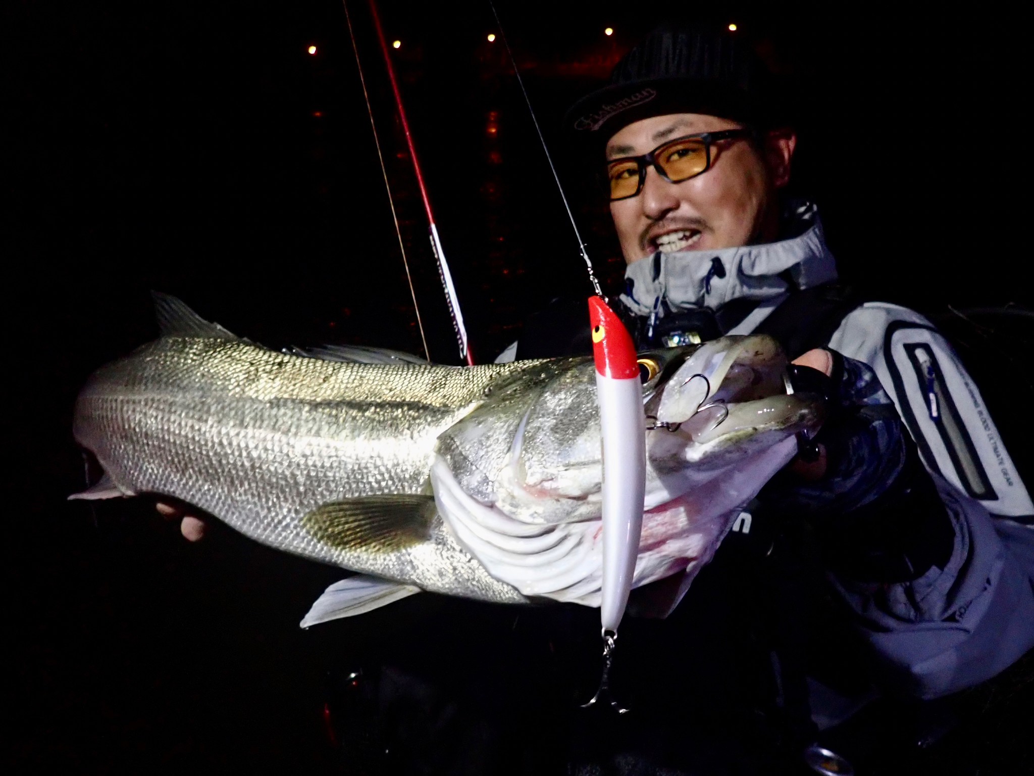 BRIST VENDAVAL10.1M アーカイブ - Fishman（フィッシュマン）