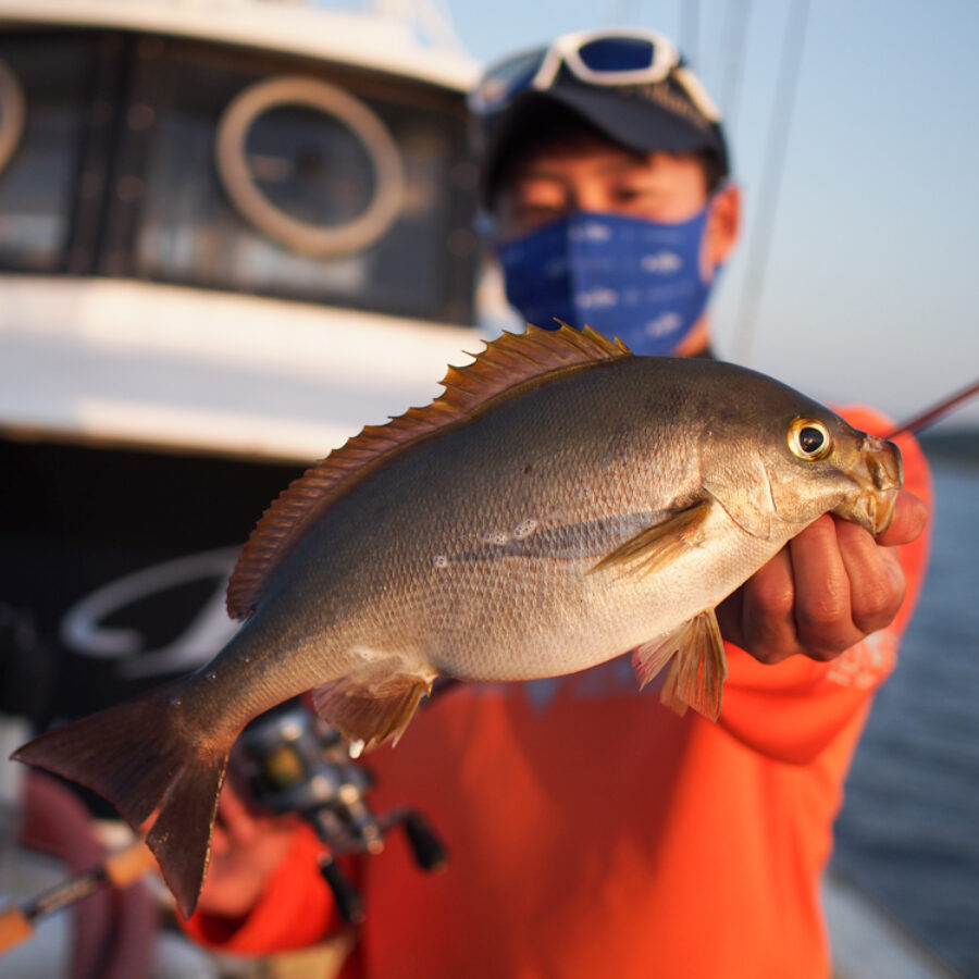 Beams LOWER 7.3Lで流行りのSLJにチャレンジ！ - Fishman（フィッシュ