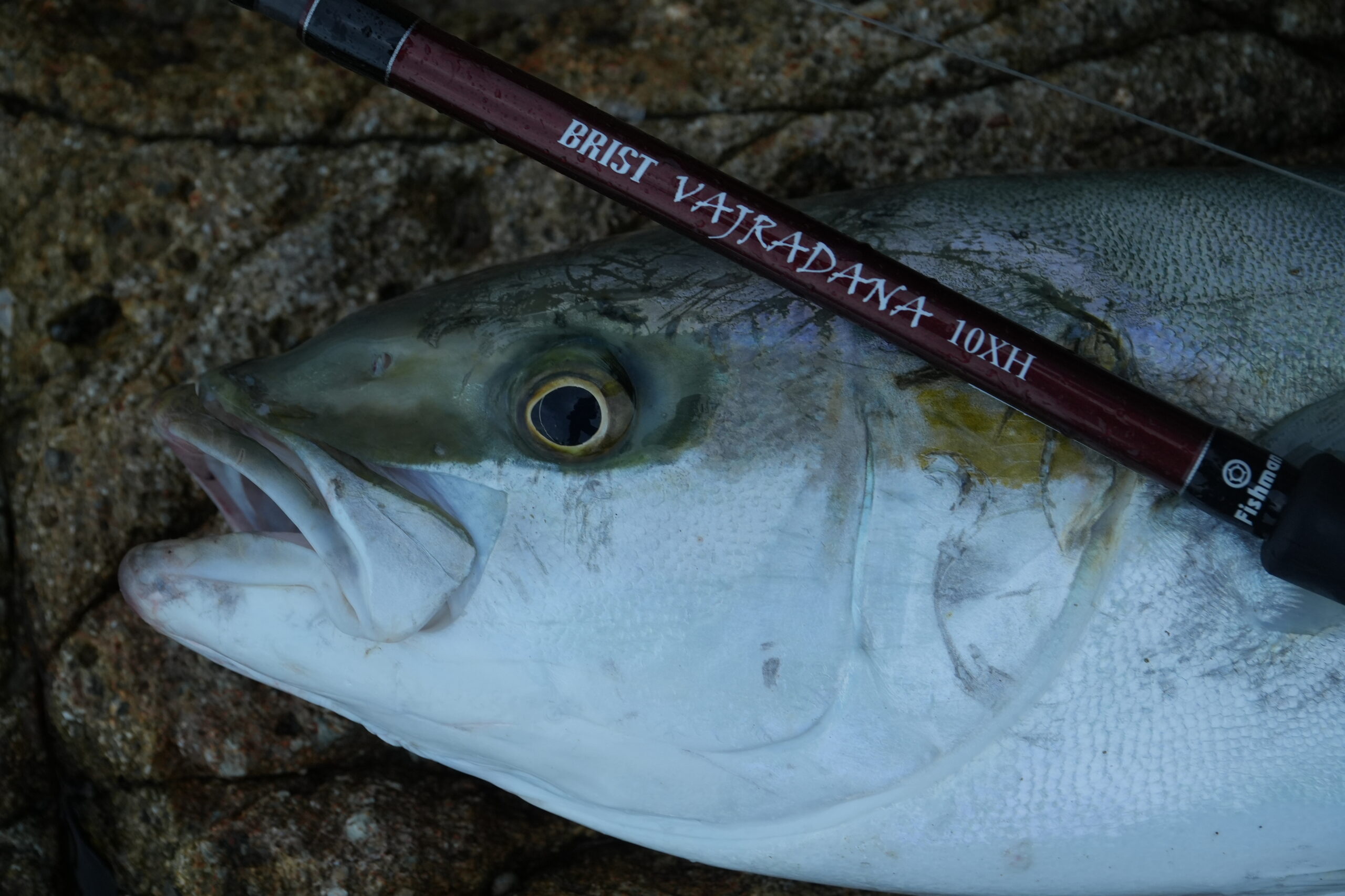 ショアジギングロッド「BRIST VAJRADANA10XH」開発者の上宮則幸による