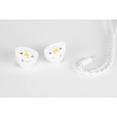 DUNU-TOPSOUND DK3001 BD 新品｜フジヤエービック