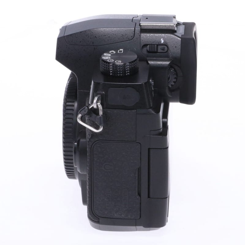 Panasonic LUMIX G99 ボディ DC-G99-K ABランク 中古｜フジヤカメラ