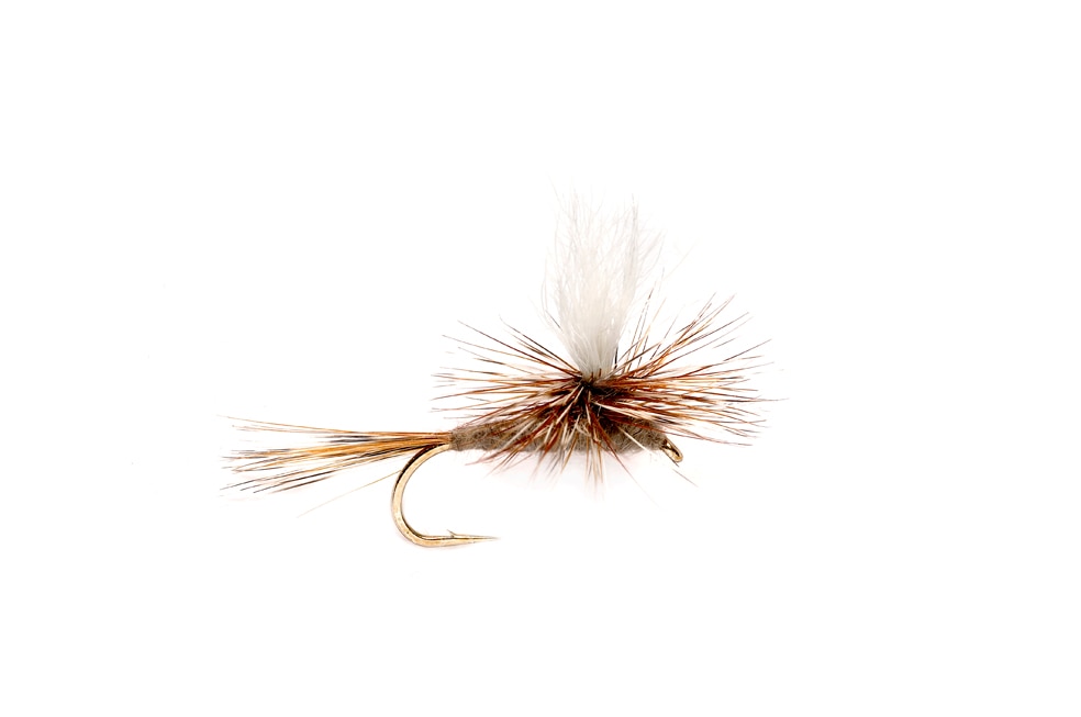 Sedgehammer Caddis Green S16 Fishing Fly | Dry Flies | Fulling Mill