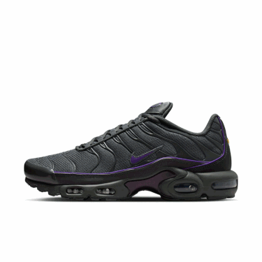2025年 秋 発売予定】NIKE AIR MAX PLUS “Reflective/Iron Grey/Wild
