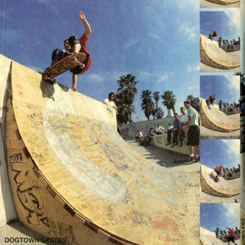 ドッグタウンスケートボード XX スティンガー レッド / Dogtown XX