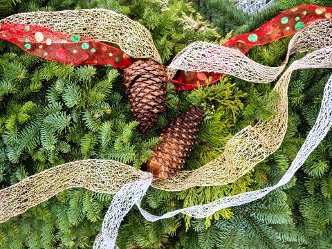 2025 サンタの贈り物(クリスマスツリー) | 香水通販（男性・女性）