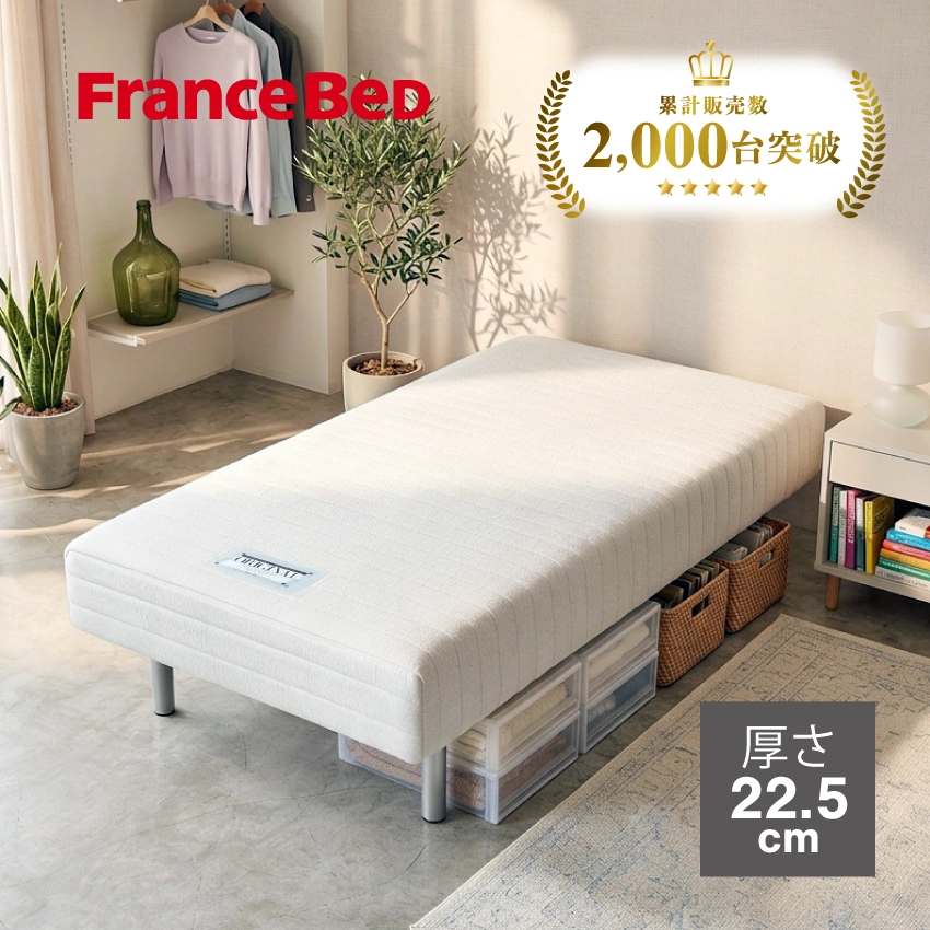 フランスベッド 脚付きマットレスベッド 【公式通販】