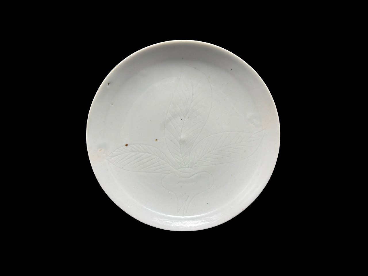 ギャラリー安原 / 初期伊万里 白磁 蕪文中皿